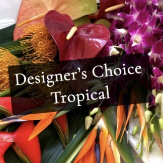 Tropical Arrangement Designers Choice