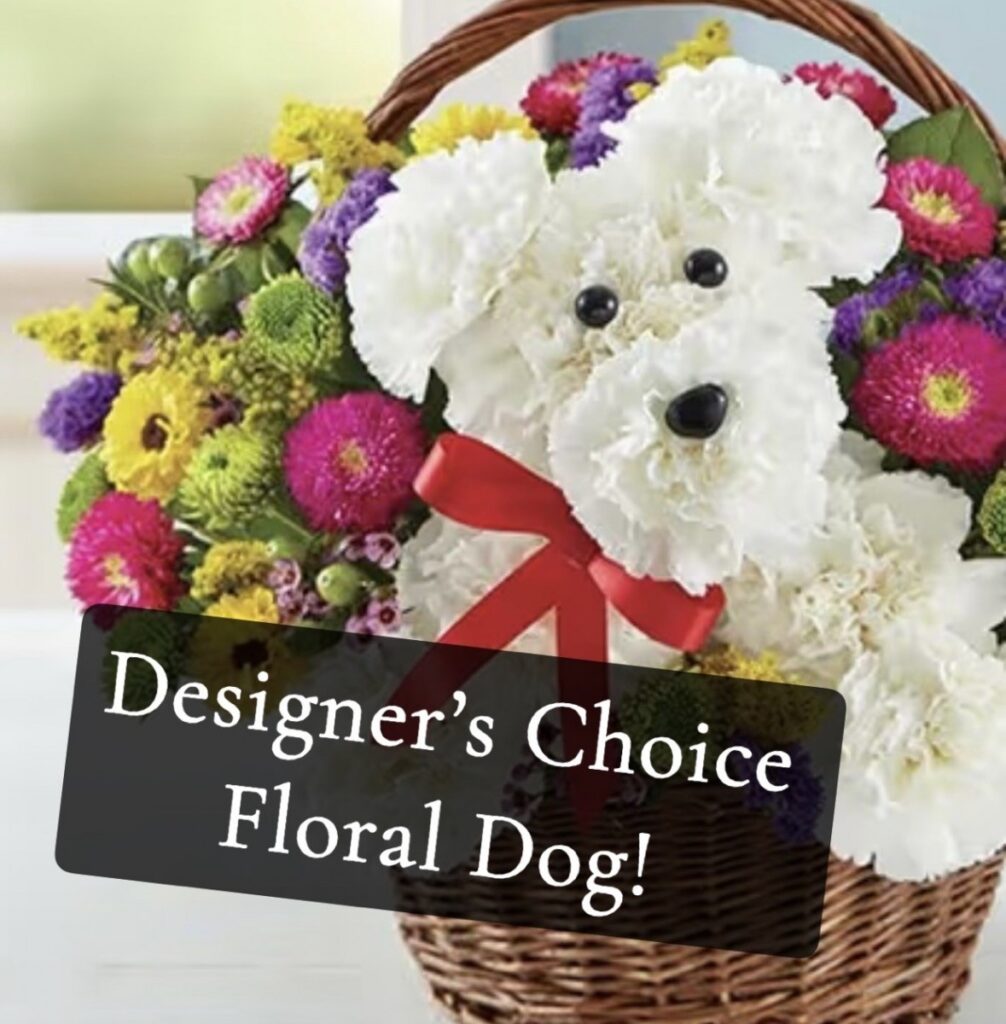 Designer's Choice Dog Bouquet