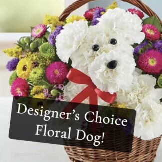 Designer's Choice Dog Bouquet