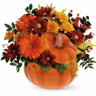 Country Pumpkin
