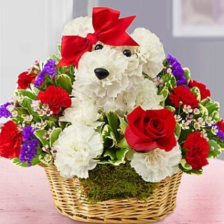 Love Pup