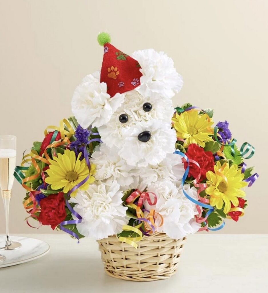 Birthday Pooch