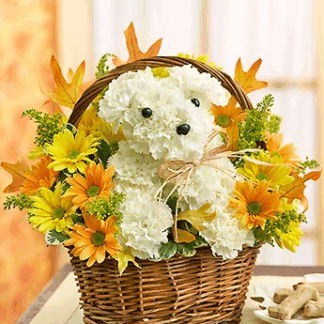 Fall Puppy in Basket