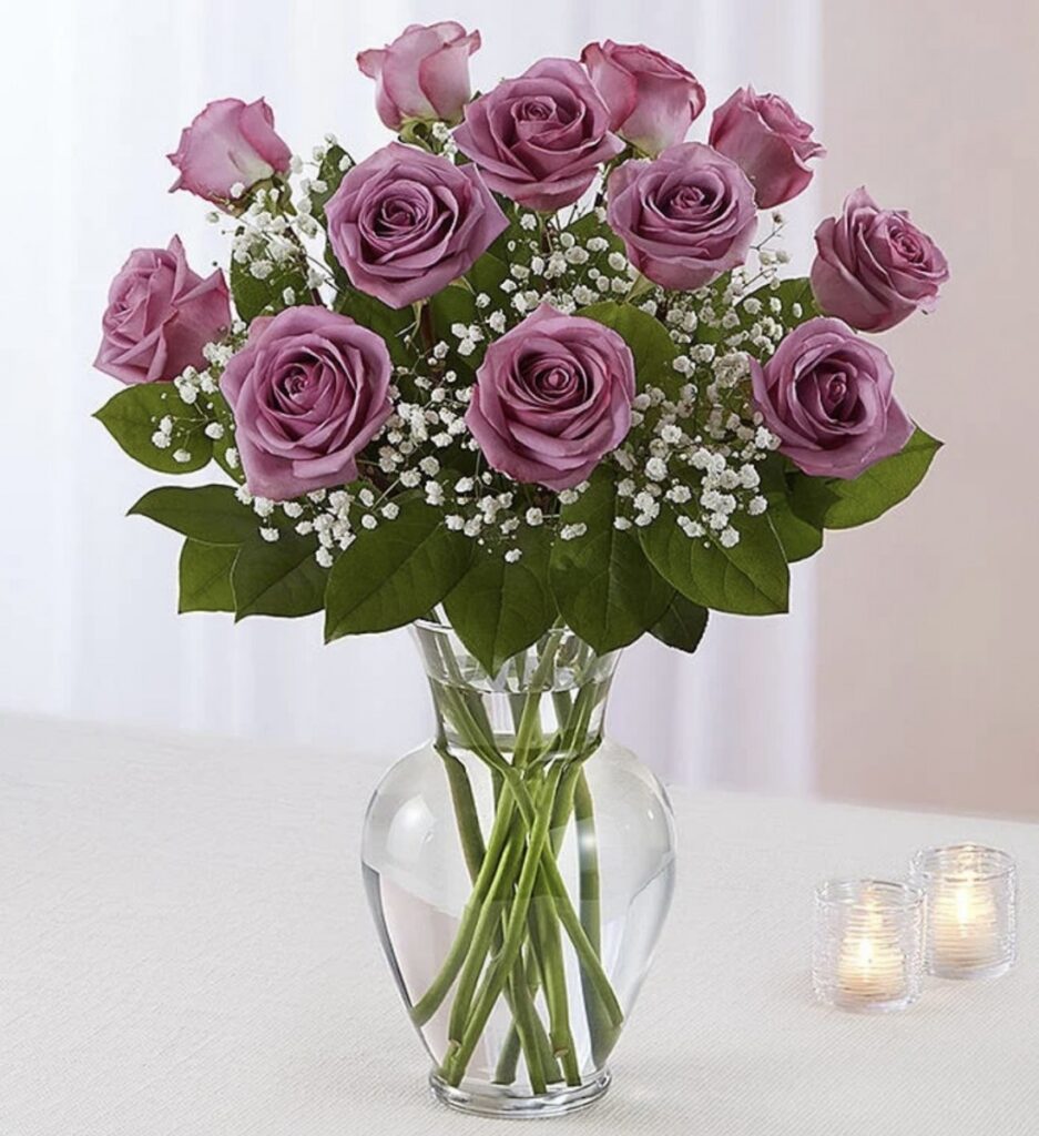 One Dozen Long Stem Purple Roses with Baby's Breath