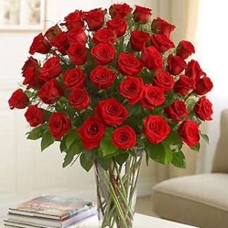 Ultimate Elegance 4 Dozen Premium Long Stem Red Roses