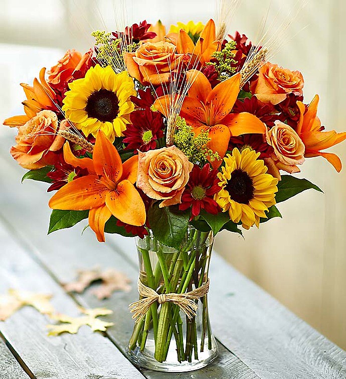 Fields of Europe for Fall - Image 3