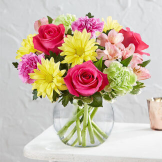 Vibrant Blooms