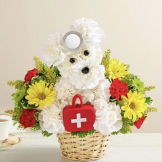 Cure-All-Doggie