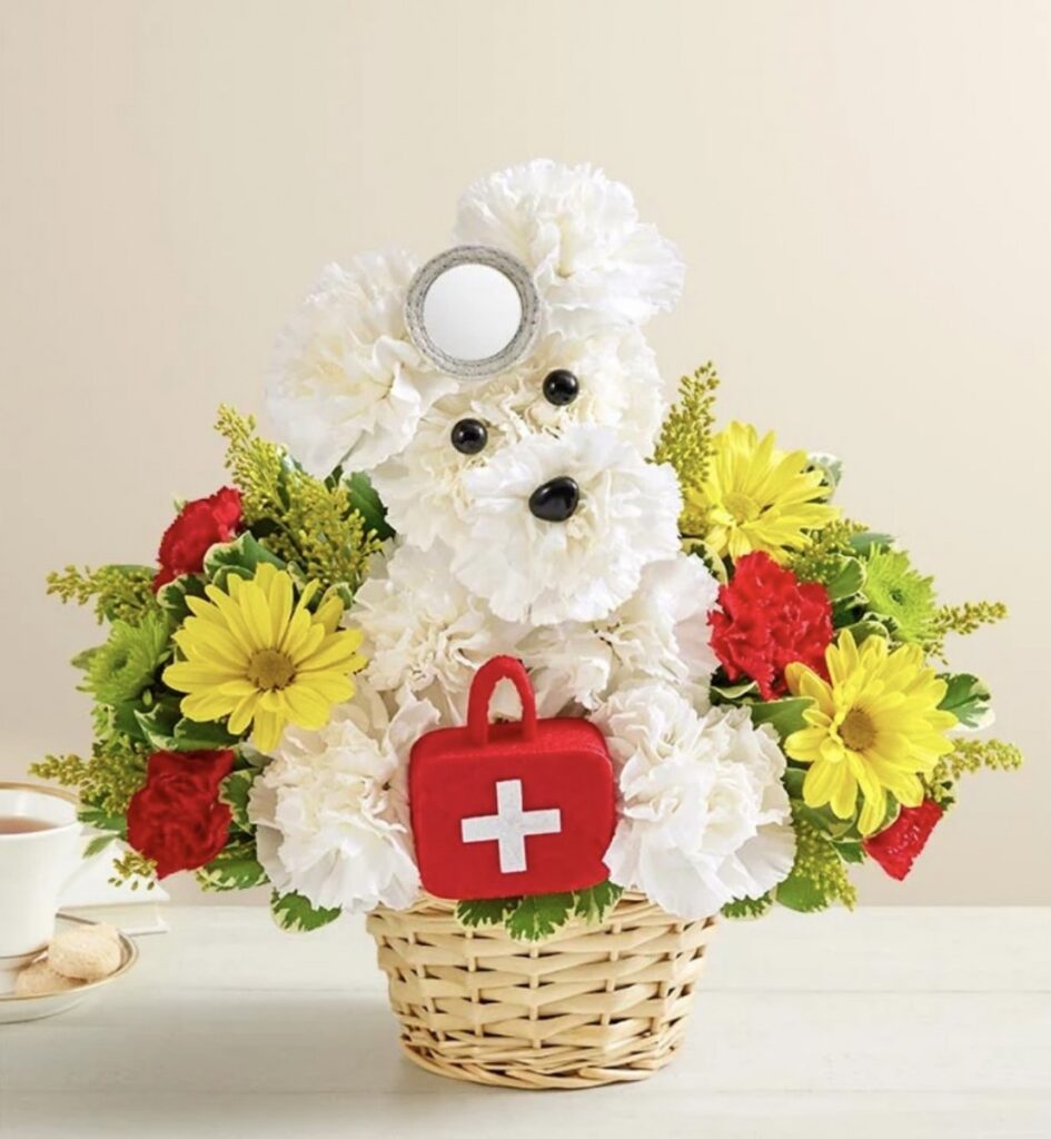 Cure-All-Doggie