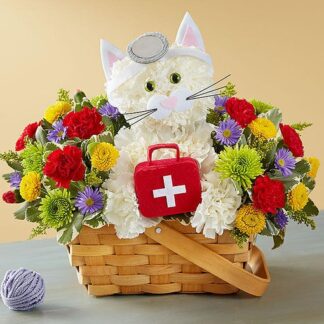 Cure All Kitty