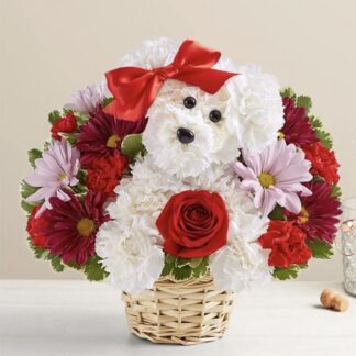 Loving Pup