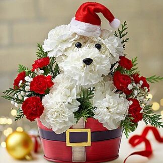 Santa Paws is Here!