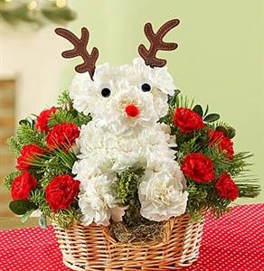Rudolph