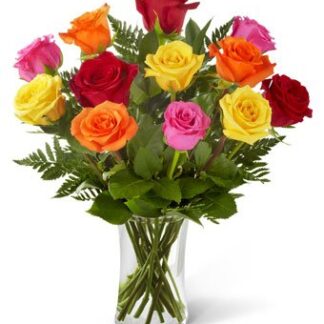 Rose Elegance Premium Long Stem Assorted Roses