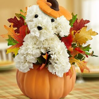 a-DOG-able for Fall