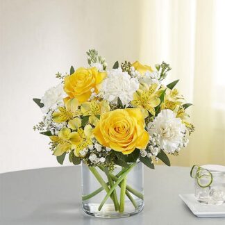 Yellow and white delight