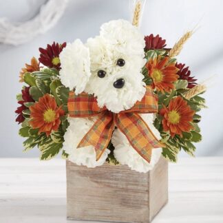Rustic Fall Doggie
