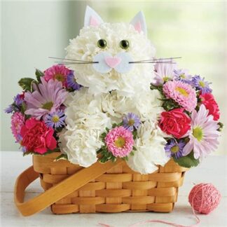 Love Cat