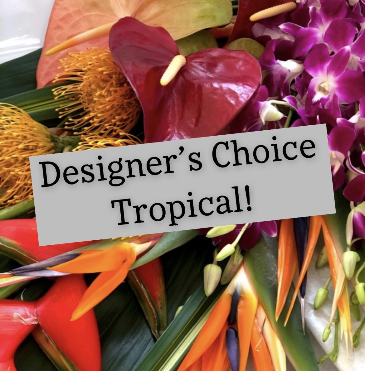 Tropical Arrangement Designers Choice