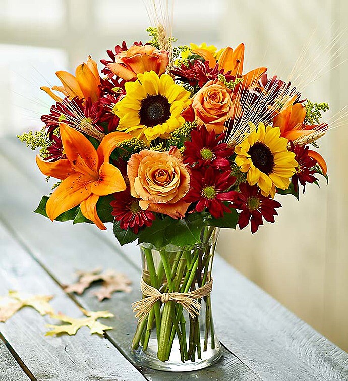 Fields of Europe for Fall - Image 2