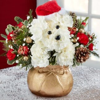 Stowaway Santa Paws