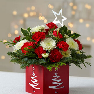 Holiday Star