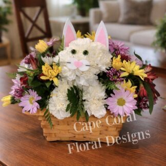 Spring Meadow Kitty