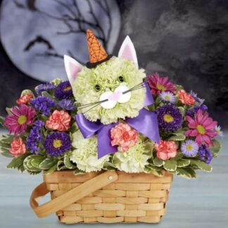 Purrfect Potions Feline