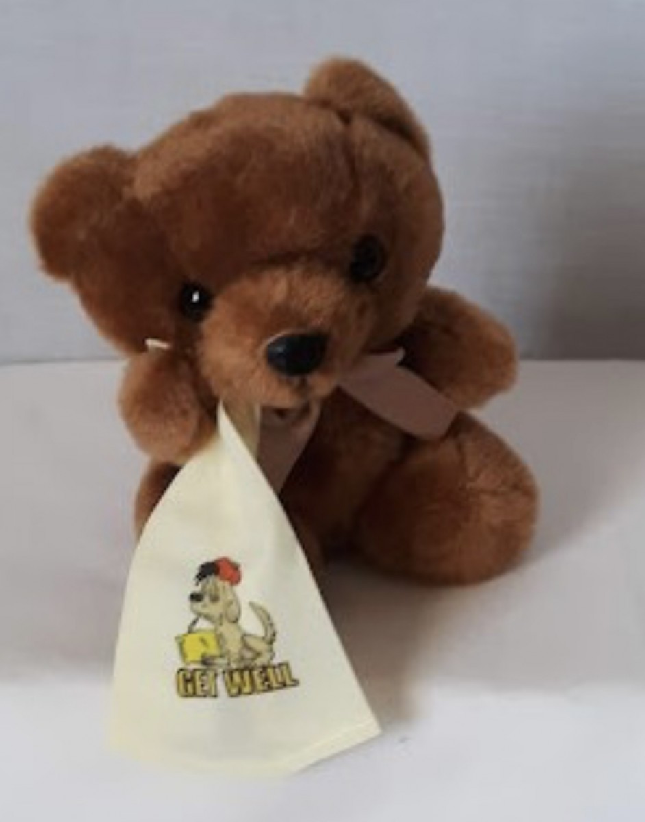Puddin- 6" Get Well Plush