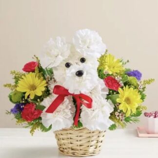 Happy pup in a basket