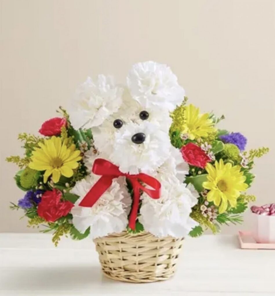 Happy pup in a basket
