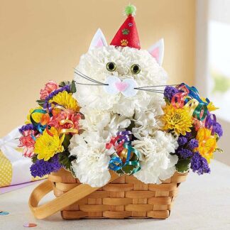 Purrfect Party Cat