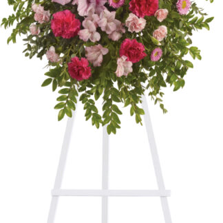 Pink Tribute Spray
