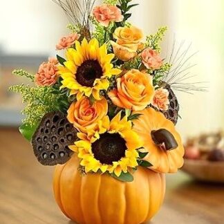 Fall Pumpkin Pod