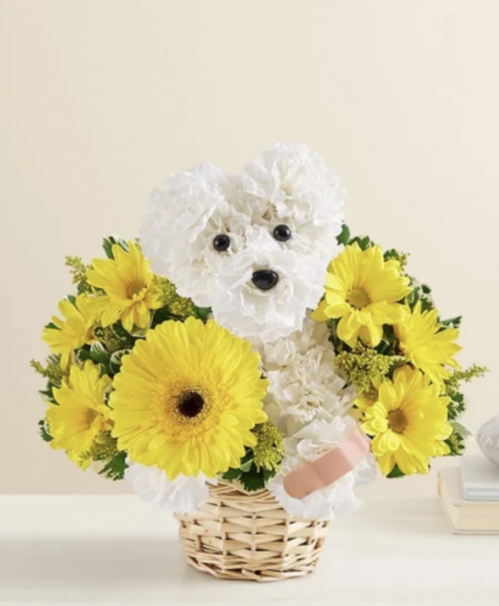 Sick as a dog bouquet
