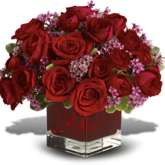 Never Let Go - 18 Red Roses