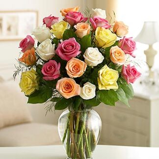 Two Dozen Premium Long Stem Assorted Roses