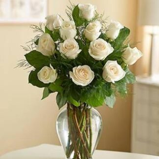 Rose Elegance Premium Long Stem White Roses