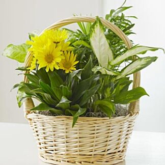 Basket Garden with Fresh Cut Flowers