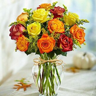 Shades of Autumn Roses